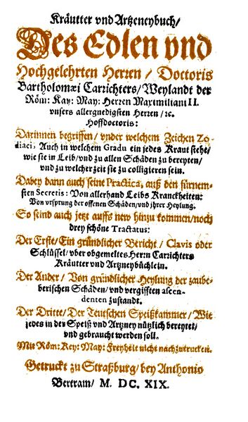 File:BP.Figulus.1619-01.jpg